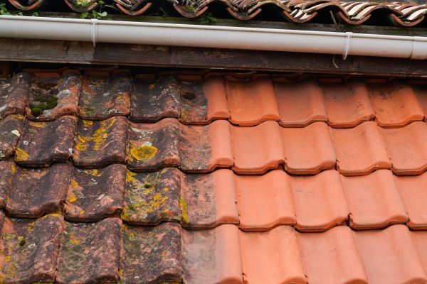 Industrial Roof Cleaning in Monroe Township